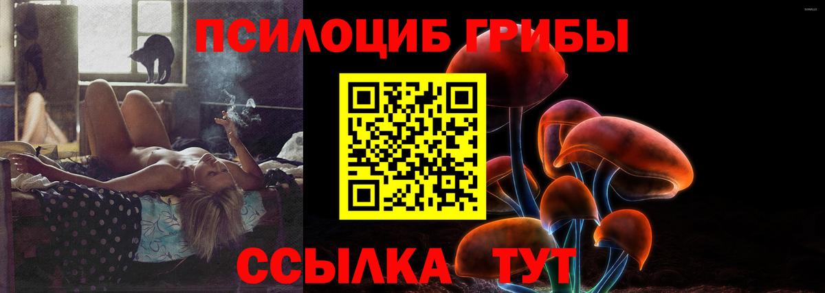 Галлюциногенные грибы Magic Shrooms  Вход с VPN  Кузнецк 